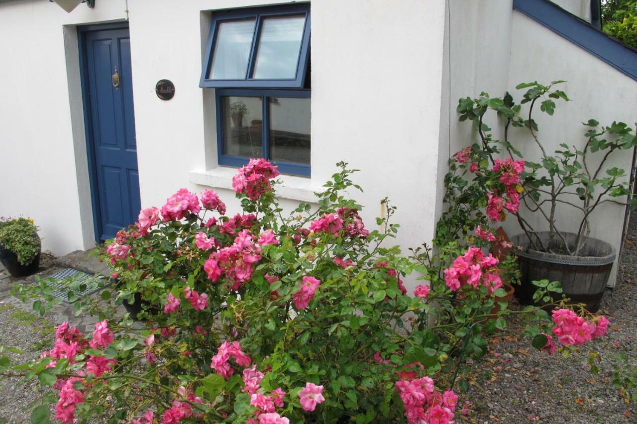 Muckle Flugga Villa Goleen Kültér fotó